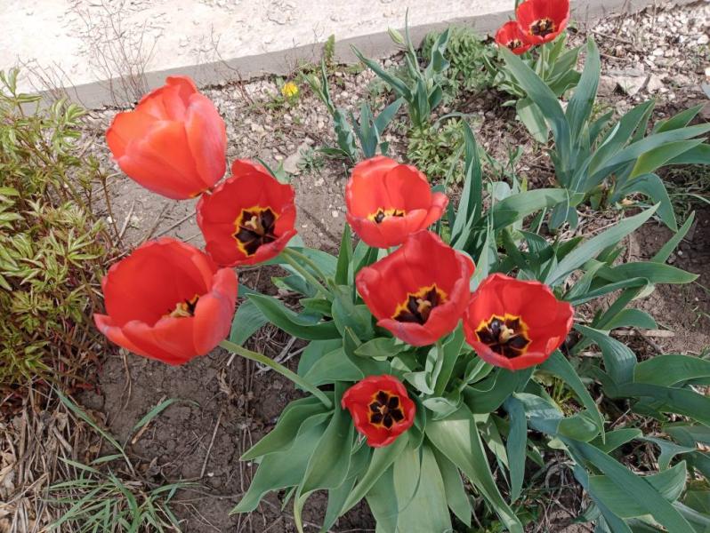post image 4