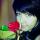 irkyam0592