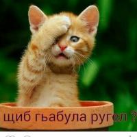 Джамиля