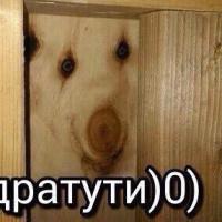 Меркулова Алена