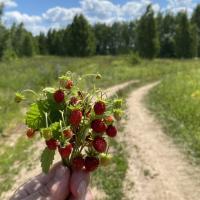 Ефимовна