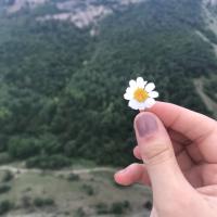 Зарема