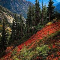 Марьят Елеева