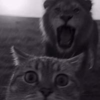 kiiiiiiiu