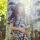 enot2016