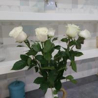 Наталия 
