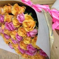 madina_axmed