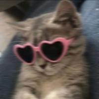 Ника 🌹