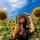 ania_leveland