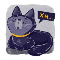 Котик
