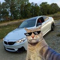 ~~~~~
