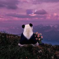 Aaa