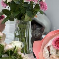 𝗥𝗲𝗴𝗶𝗻𝗮 