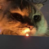 Марина