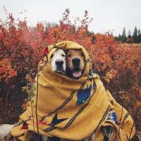 Мария