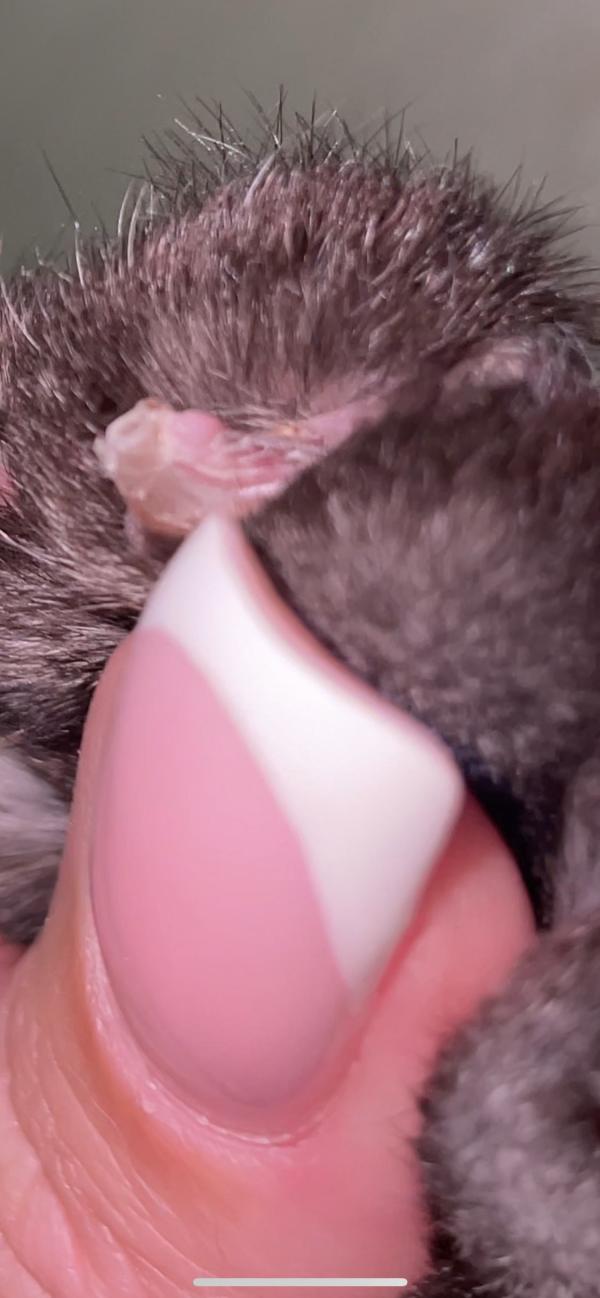 post image 5