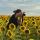 natali01_photography