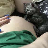 катя