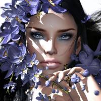 Daradarina