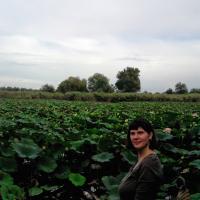 Елена