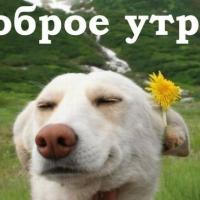 Наталья
