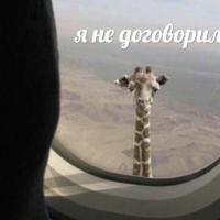 Надежда