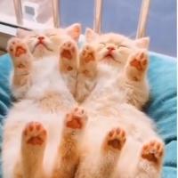 Лёлечка❤️