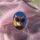 elitsme