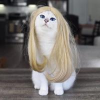 Полина 