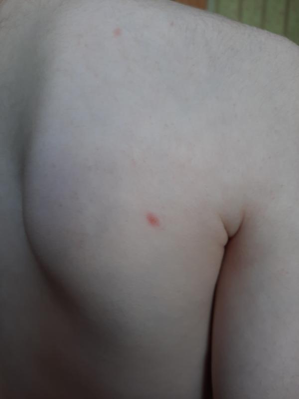 post image 3