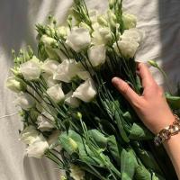 Ами