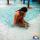 marisol321