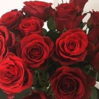 Нет Соц Сетям 