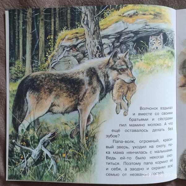 post image 5