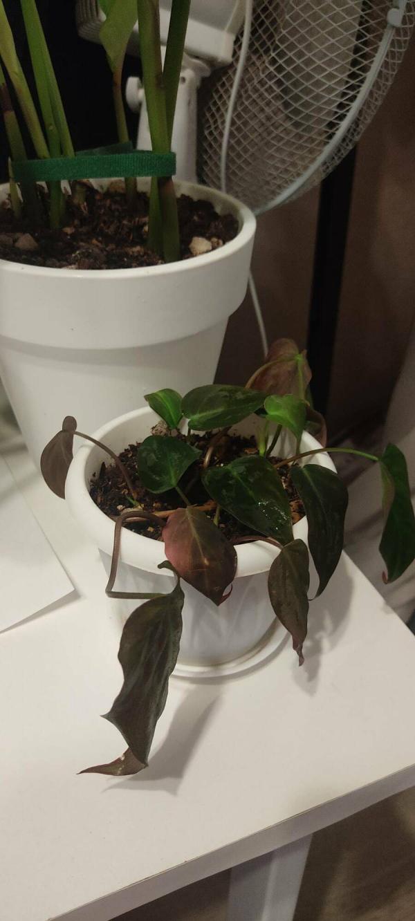 post image 5
