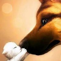 Лейла