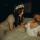 tatiana_k_