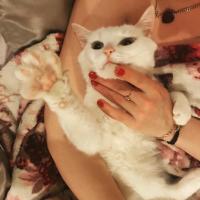 Полина