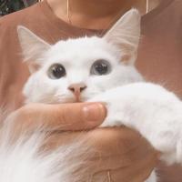 Юлия