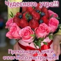 Таролог0701