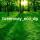 greenway_eco_dp