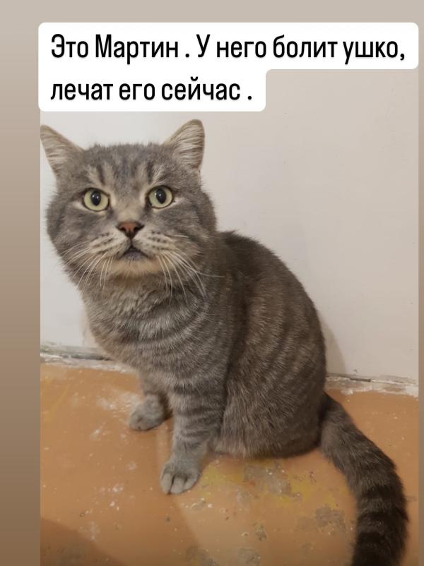 post image 5