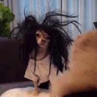 ᑭᗩTIᗰᗩ🤍🔐