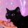 slander.cat