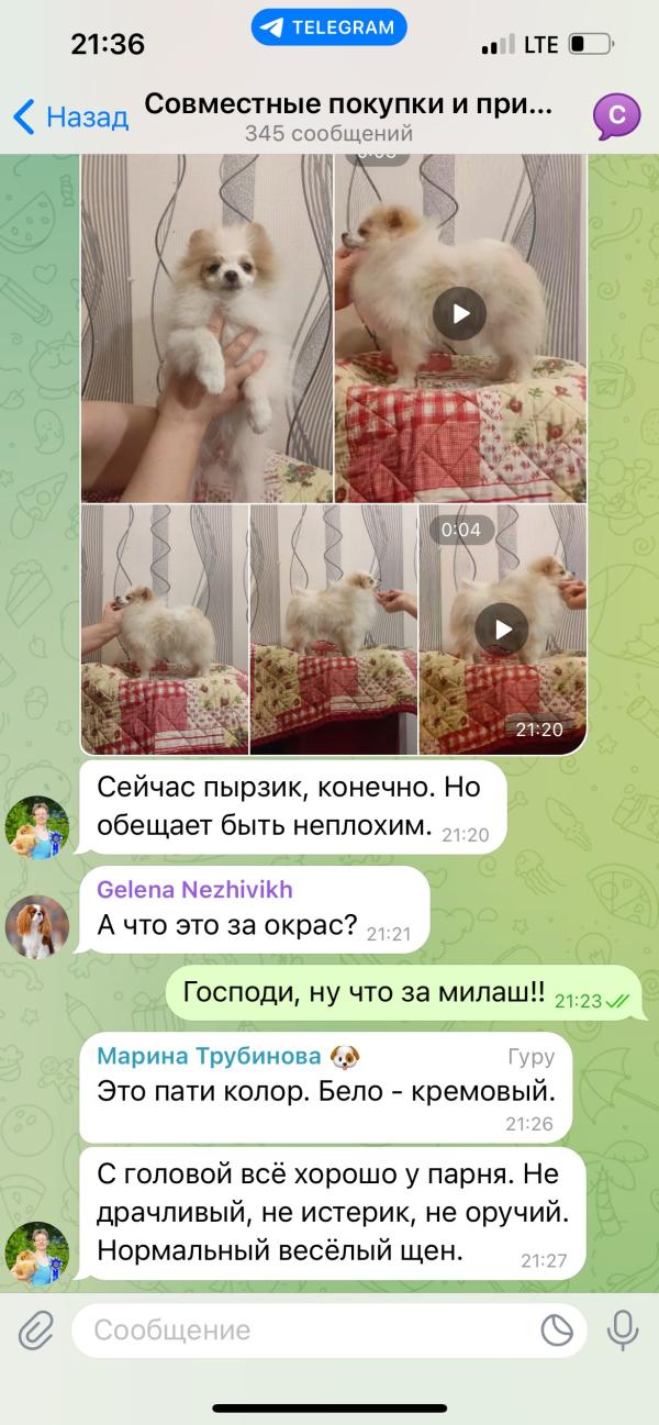 post image 3