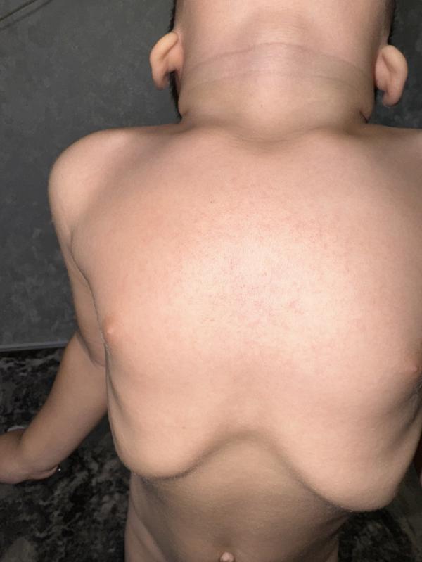 post image 5