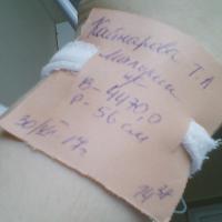 кайнарова татьяна