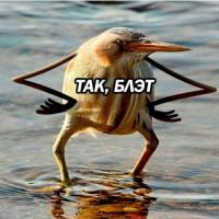 ⠀⠀⠀⠀⠀