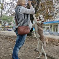 Аня