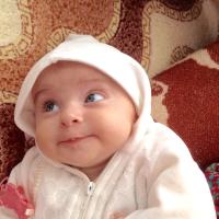 Nigar